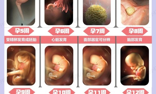 肠胃不好的人吃什么东西比较好-【肠胃不好吃什么水果比较好】肠胃不好吃什么药最好有效 - 肠胃不好螺丝可以吃吗网
