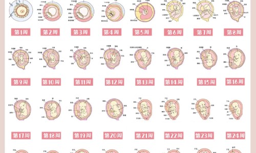 【肠胃不好吃什么水果比较好】肠胃不好吃什么药最好有效 - 肠胃不好螺丝可以吃吗网