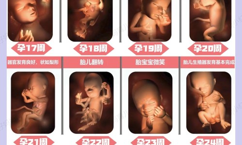 【肠胃不好吃什么水果比较好】肠胃不好吃什么药最好有效 - 肠胃不好螺丝可以吃吗网